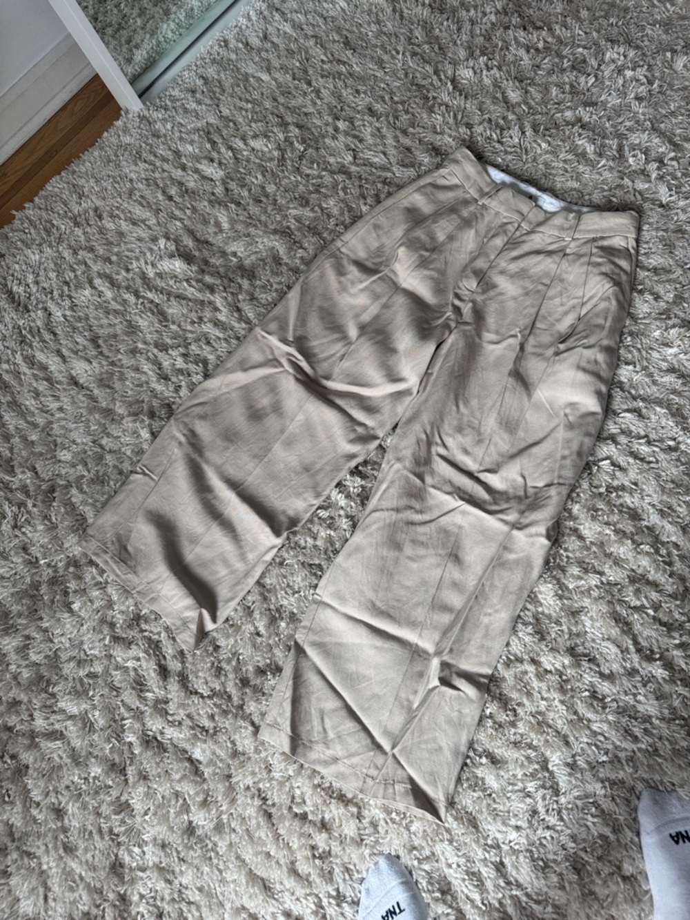 Aritzia Neutral Beige Wide-Leg Pleated Trousers